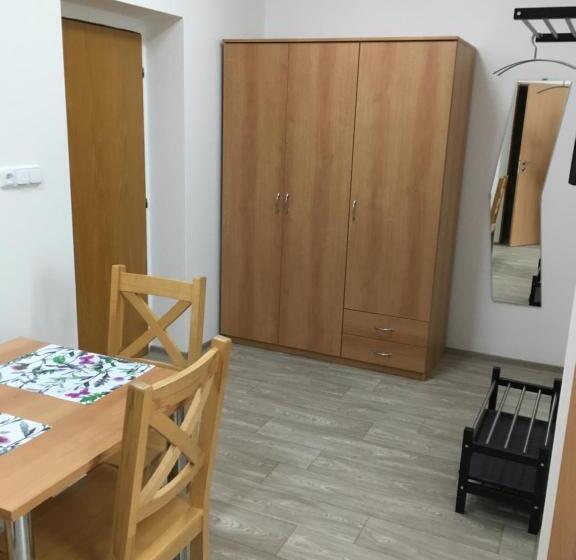 Студия Стандарт, Penzion Janovice