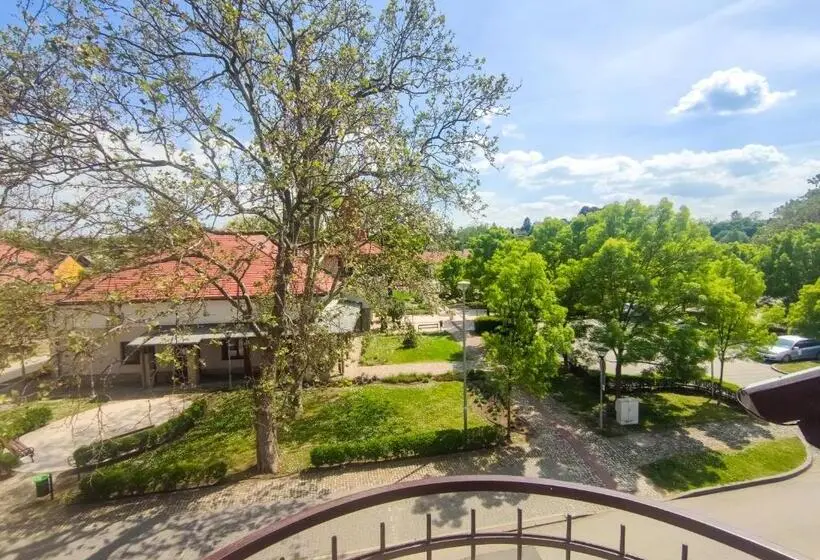 اتاق استاندارد با بالکن, Viktória Panzió Zamárdi
