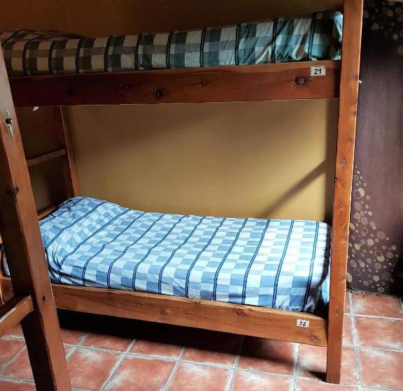 מיטה בחדר משותף, Patagonia Jazz Hostel