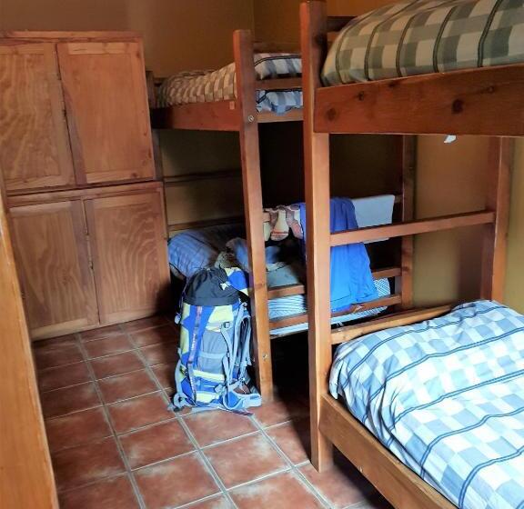 מיטה בחדר משותף, Patagonia Jazz Hostel