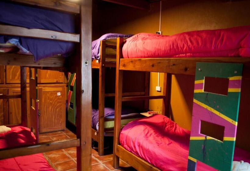 מיטה בחדר משותף, Patagonia Jazz Hostel