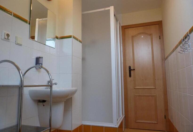 Апартаменты 1 Спальня, Penzion Sina