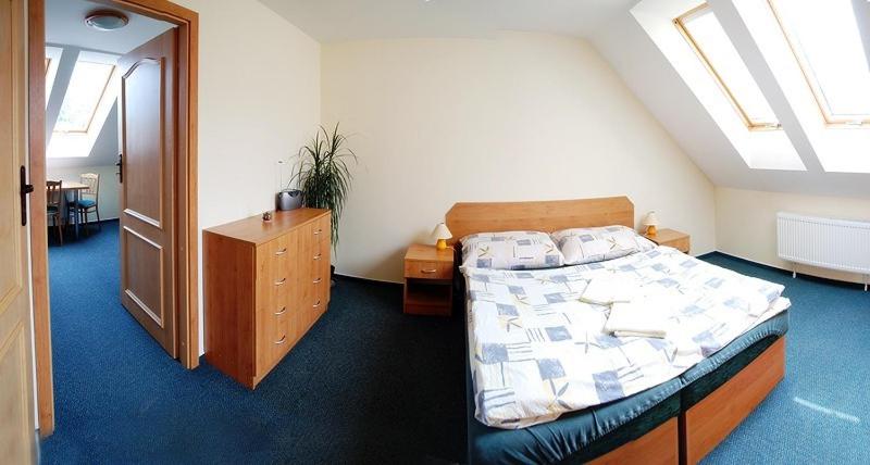 Апартаменты 1 Спальня, Penzion Sina