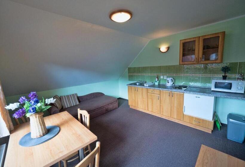 Апартаменты 1 Спальня, Penzion Sina