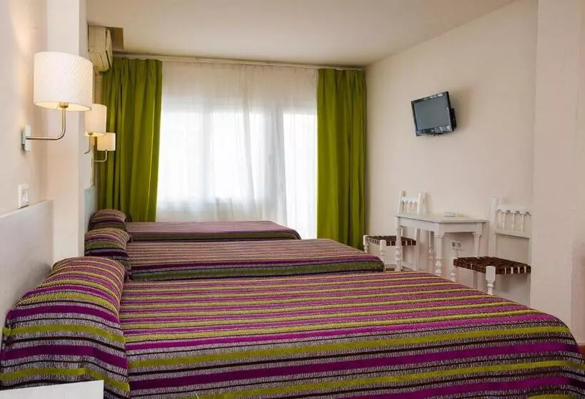 テラス付スタンダードルーム, Hostal Sol Y Miel