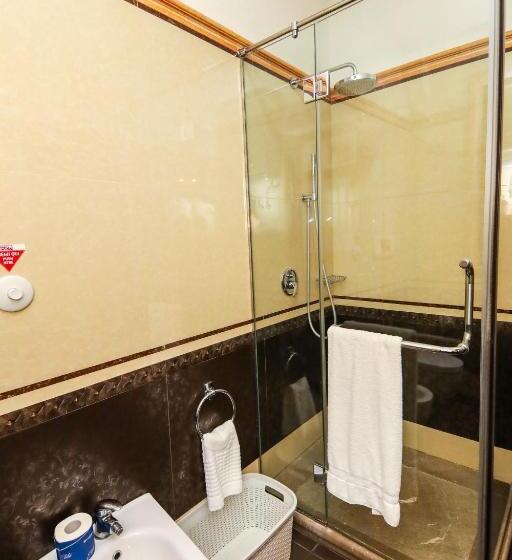 豪华家庭房间, Brilant Antik