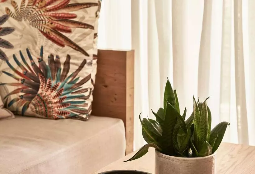 سوییت, Phāea Cretan Malia, A Member Of Design Hotels