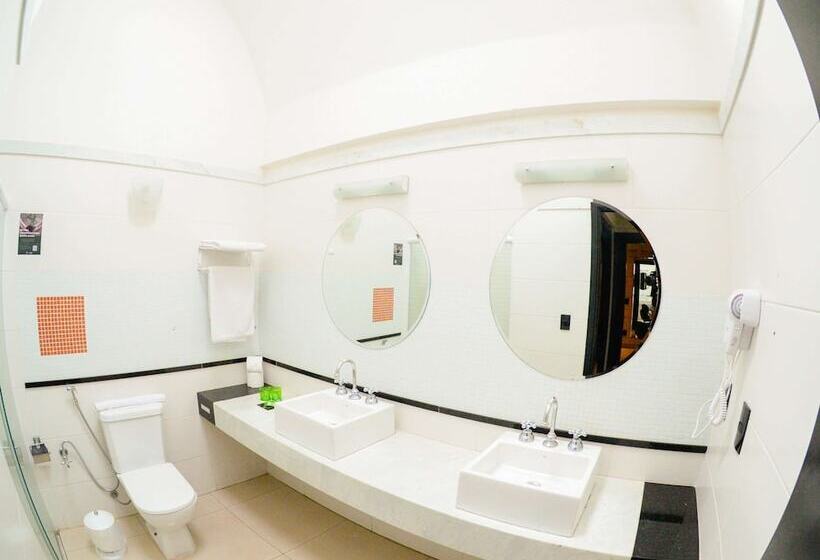 Полулюкс, Ibis Styles Rio Preto Monte Libano