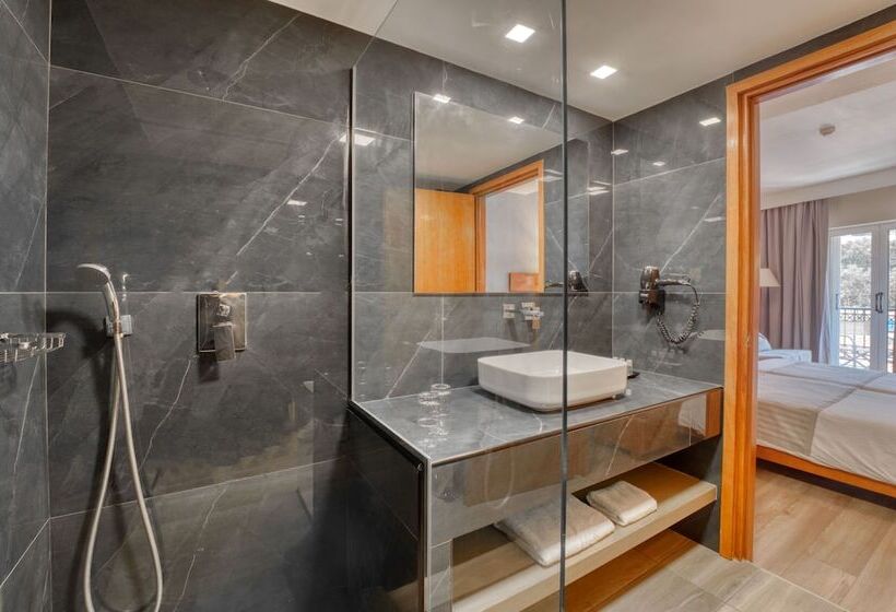 اتاق استاندارد با چشم‌انداز, Palatino