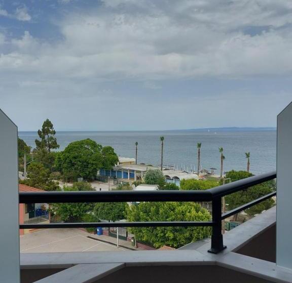 اتاق خانوادگی, Palatino