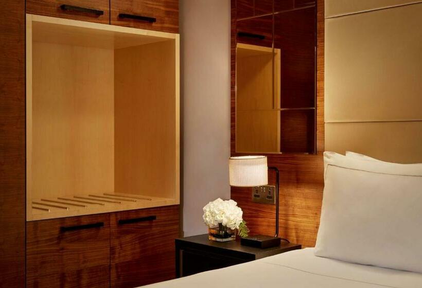 اتاق سوپریور با چشمانداز, Park Plaza County Hall London