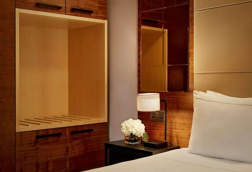 Номер Superior с Видом, Park Plaza County Hall London