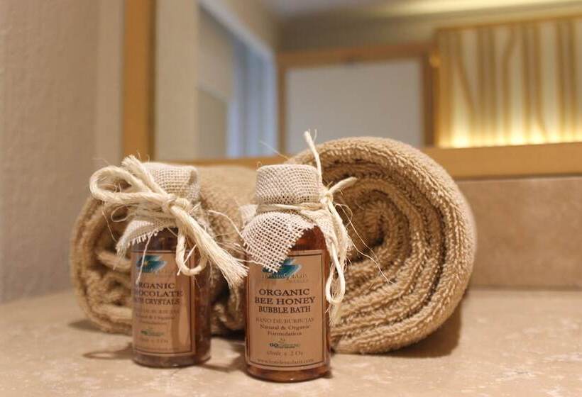 豪华海景房, Royal Solaris Cancun All Inclusive