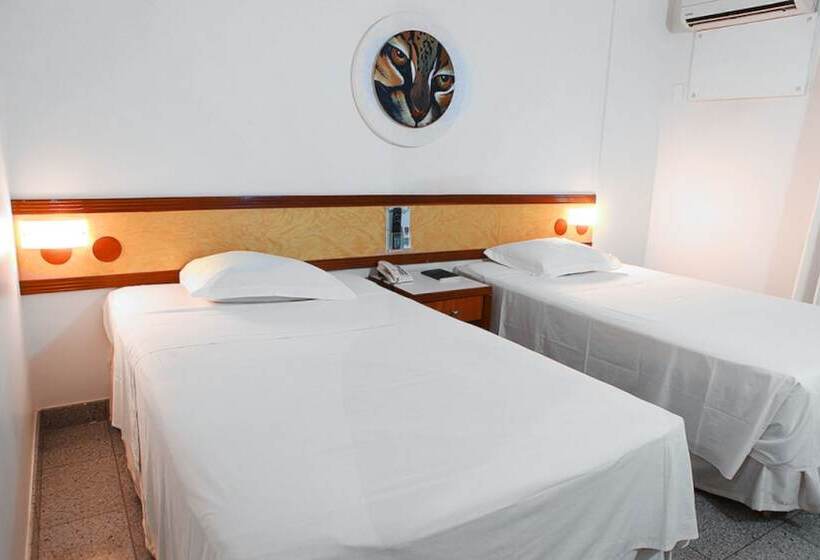 Номер Стандарт, Amazon Taiamã