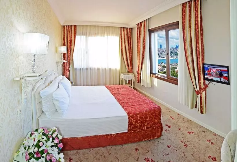オーシャンビュースタンダードルーム, The And Hotel Sultanahmet  Special Category