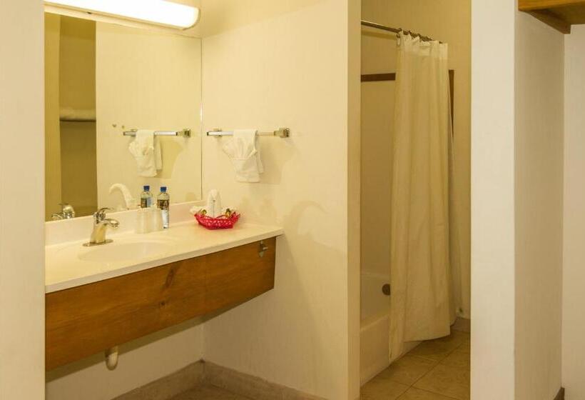 חדר סטנדרט, Tripui