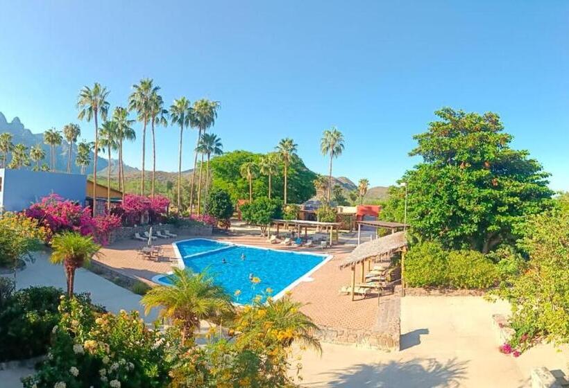 חדר סטנדרט עם מרפסת, Tripui