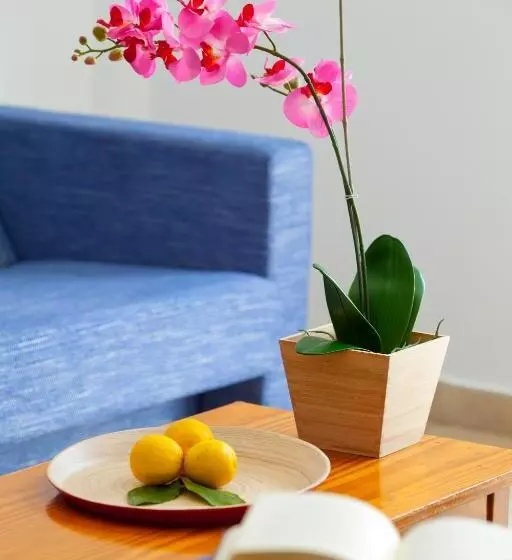 آپارتمان 1 خوابه, Paloma Hotel Apartments