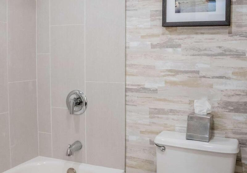 Lejlighed 3 Soveværelser, Residence Odalys Domaine Des Eucalyptus