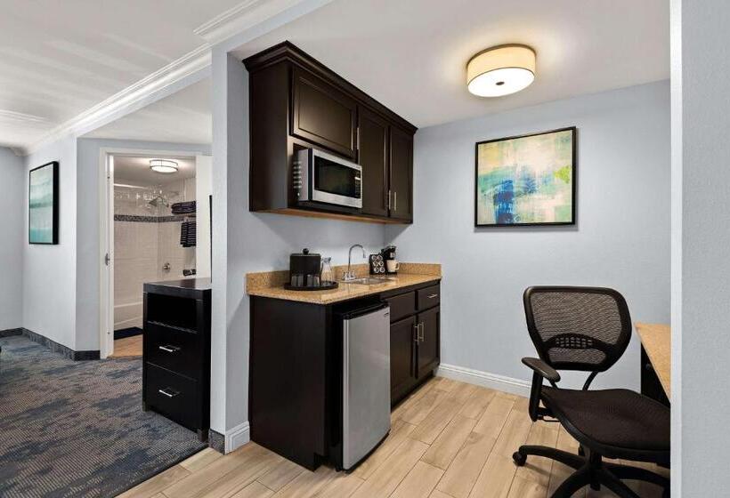 Студия Стандарт, Best Western Plus Manhattan Beach