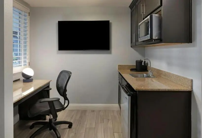 Standard Studio Queen Bed