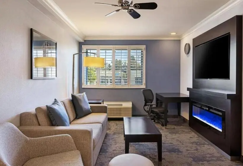 سوئیت با تخت بزرگ, City Express by Marriott Manhattan Beach