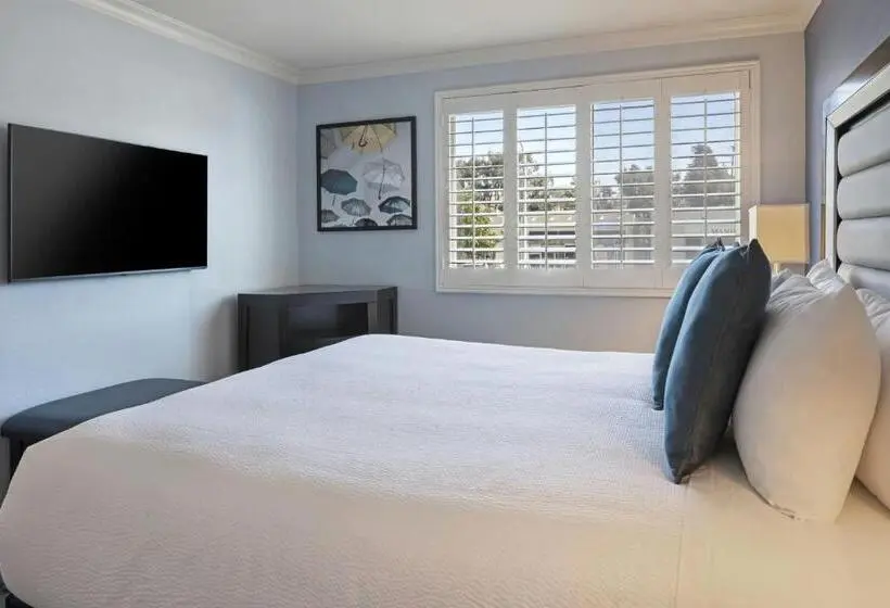 سوئیت با تخت بزرگ, City Express by Marriott Manhattan Beach