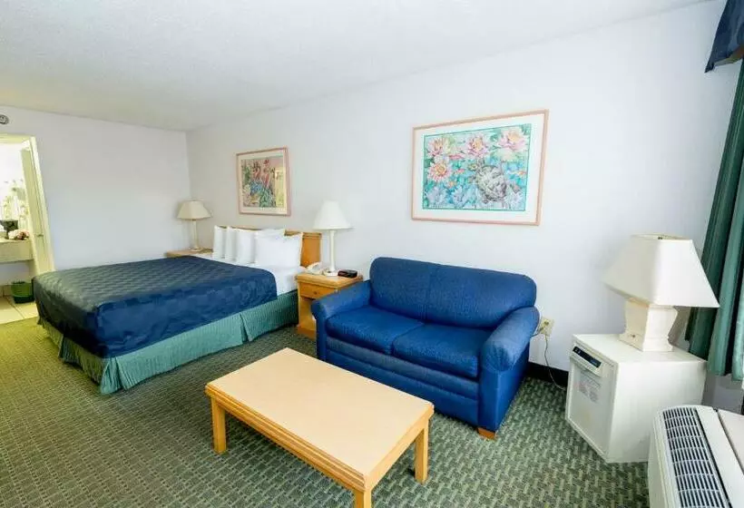 Standard Room King Size Bed