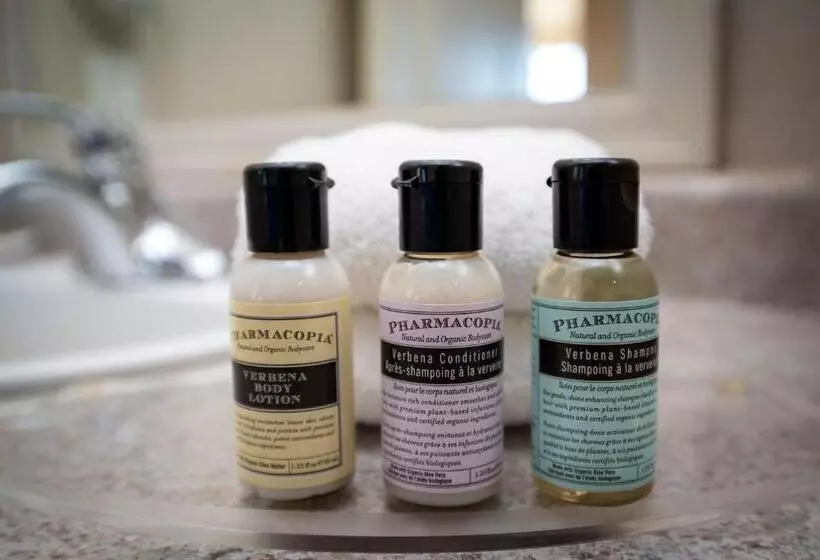 سوئیت با تخت بزرگ, Sandman Suites Surrey  Guildford