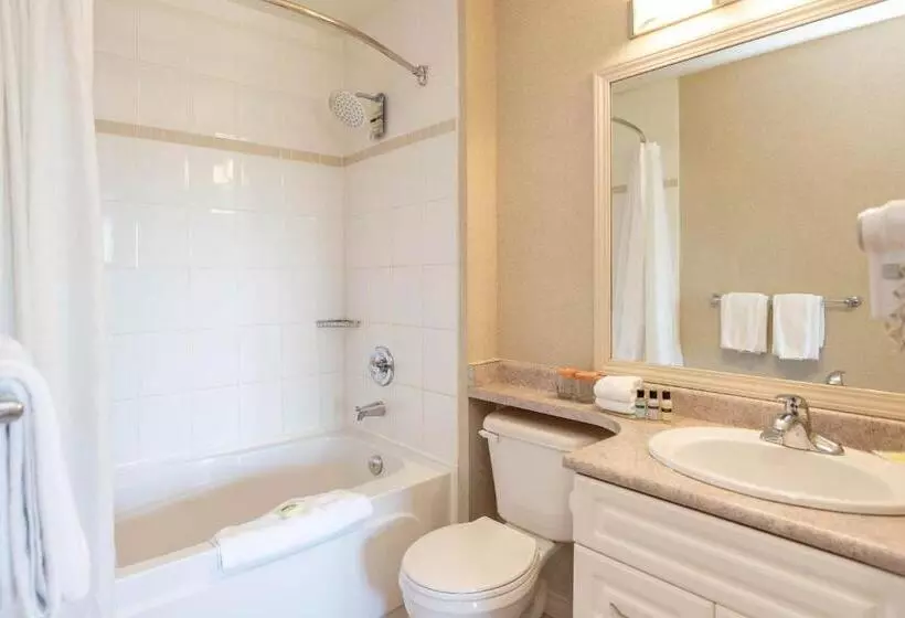 سوئیت پنت هاوس, Sandman Suites Surrey  Guildford