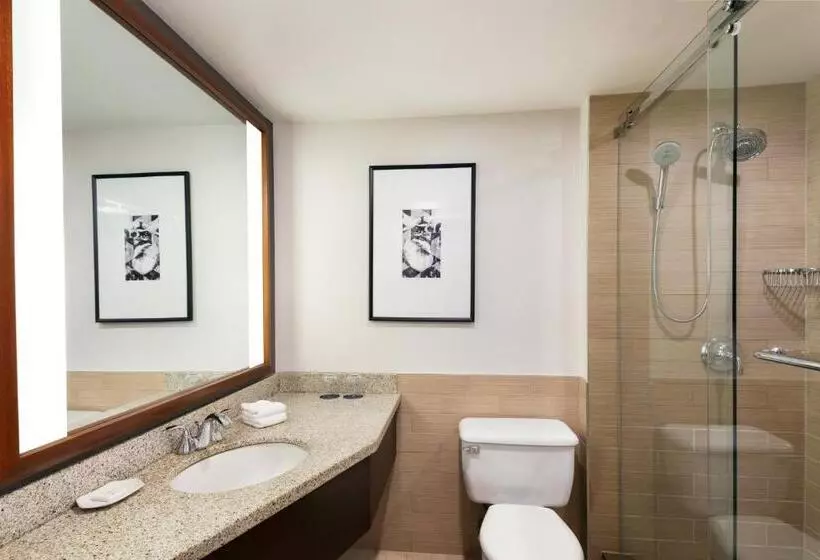 اتاق استاندارد با تخت بزرگ, Sheraton Vancouver Airport