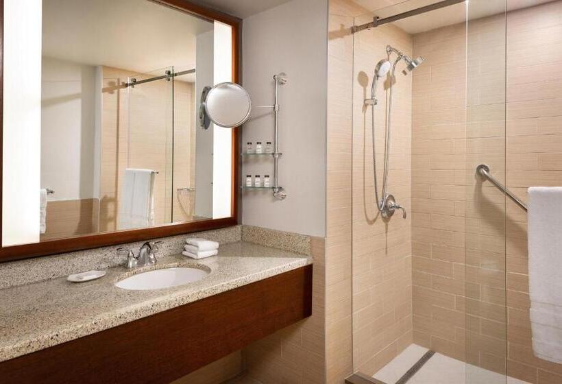 带大床的小型套房, Sheraton Vancouver Airport