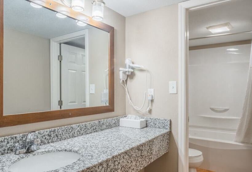 带2个双人床的标准工作室, Super 8 By Wyndham Downtown Gatlinburg At Convention Center