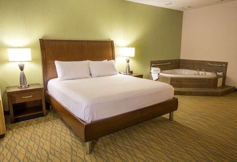 带大床的标准间, The Highland Dallas, Curio Collection By Hilton