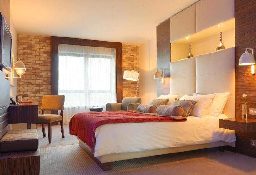 غرفة كلاسيكية, Absolute Hotel Limerick