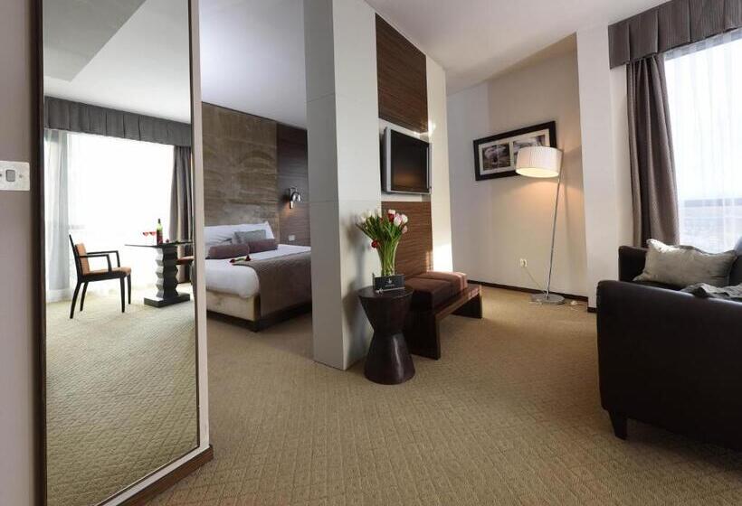 جناح, Absolute Hotel Limerick