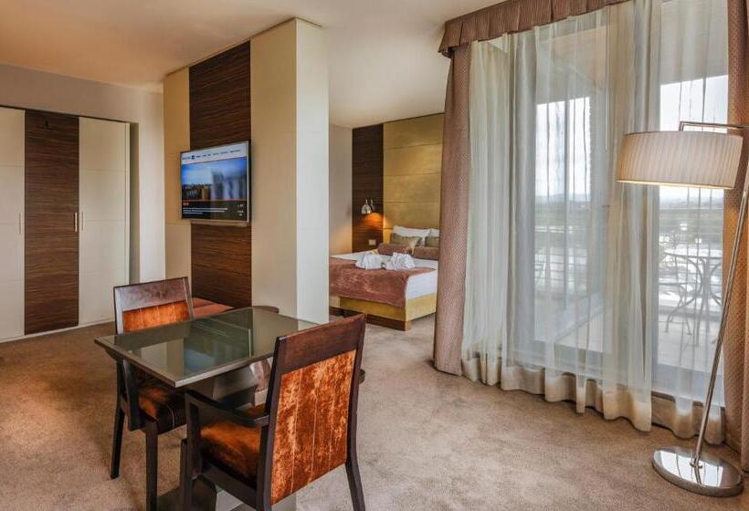 جناح, Absolute Hotel Limerick