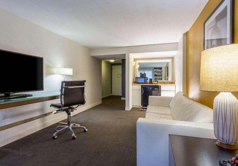 컴포트 룸, Blue Sea