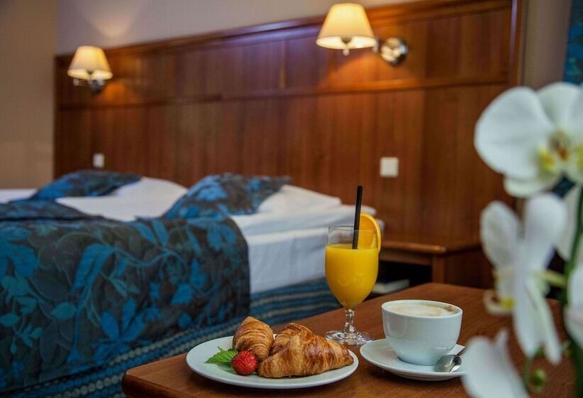 Номер Стандарт, Farmona Hotel Business & Spa