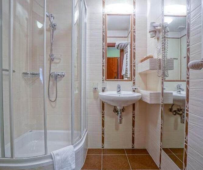 Номер Стандарт Индивидуальный, Farmona Hotel Business & Spa