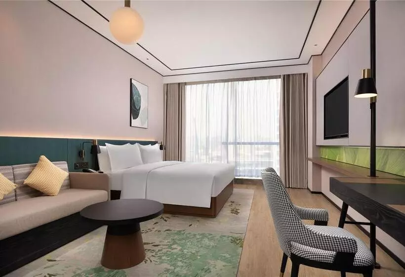 اتاق لوکس با تخت بزرگ, Hilton Madrid Airport