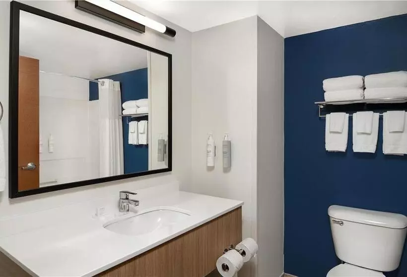 اتاق استاندارد با تخت بزرگ, Hilton Madrid Airport