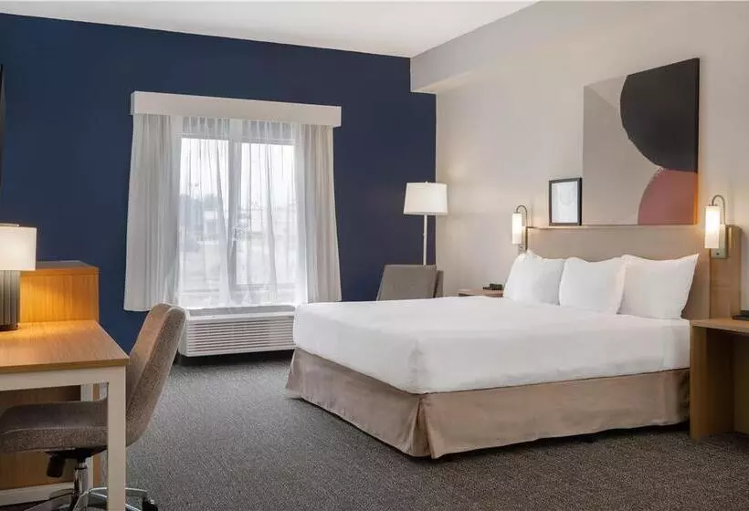 اتاق استاندارد با تخت بزرگ, Hilton Madrid Airport