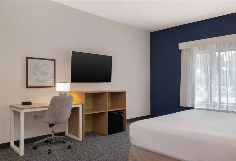اتاق استاندارد با تخت بزرگ, Hilton Madrid Airport