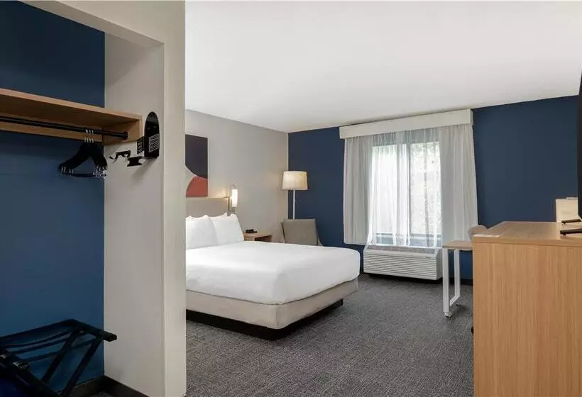 اتاق استاندارد با تخت بزرگ, Hilton Madrid Airport