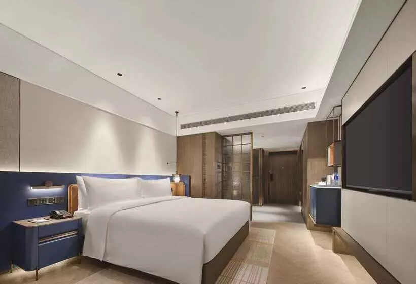 اتاق لوکس با تخت بزرگ, Hilton Madrid Airport
