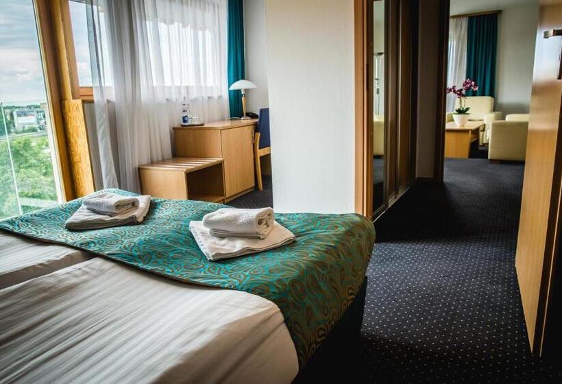 1ベッドルームのデラックスアパートメント, Pod Wawelem