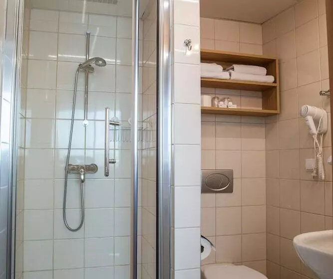 اتاق استاندارد یک نفره, Pod Wawelem