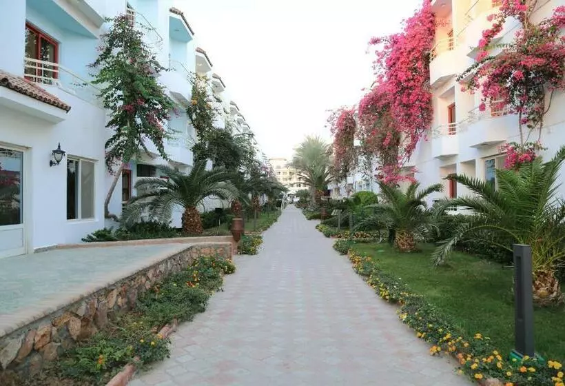 اتاق اساندارد با چشمانداز جانبی به دریا, Minamark Beach Resort For Families And Couples Only