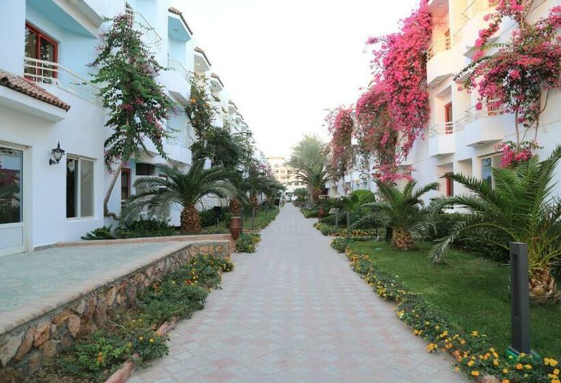 اتاق استاندارد سه نفره با چشمانداز کنار دریا, Minamark Beach Resort For Families And Couples Only